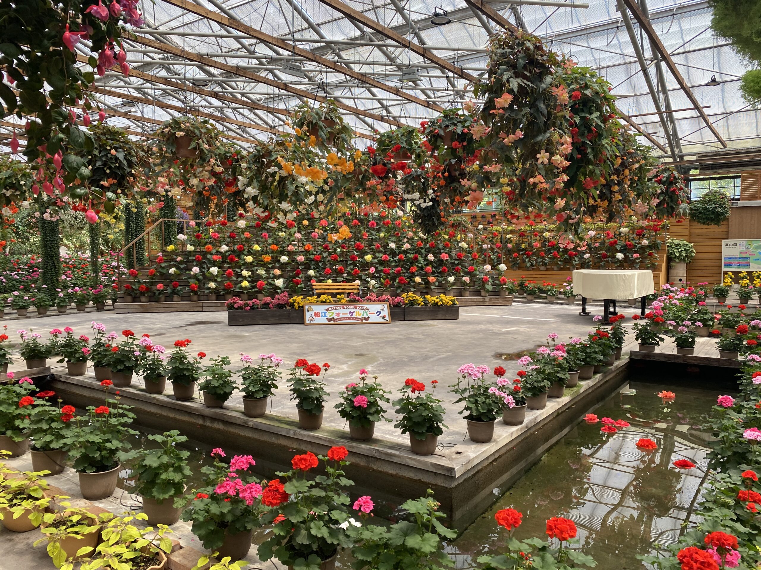 松江フォーゲルパーク